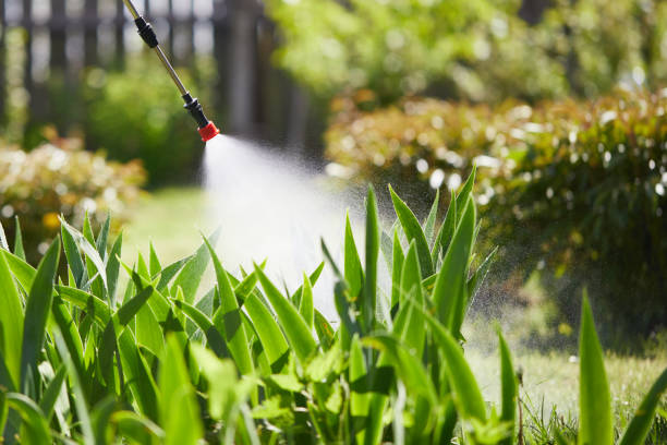 24/7 Emergency Cockroach Control experts in Weatherford, OK