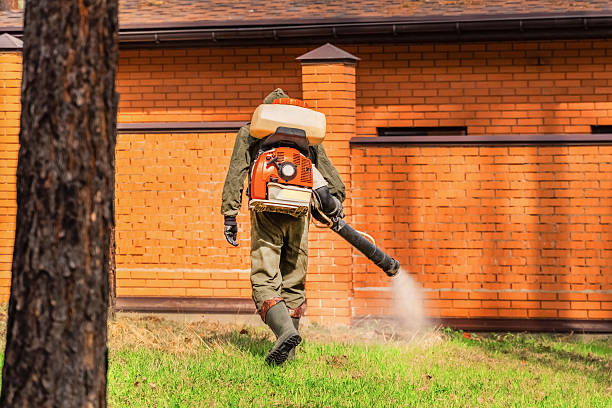 Trusted Cockroach Control service in Weatherford, OK - Nex Pest Control